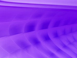 向量数据库能力模型：你需要具备哪些技能